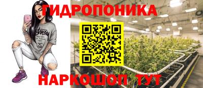 a pvp Тула