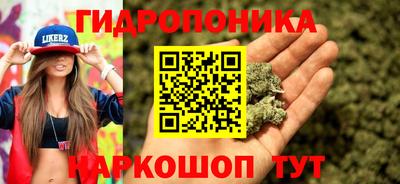 a pvp Тула