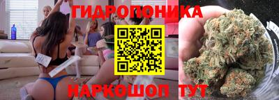 a pvp Тула