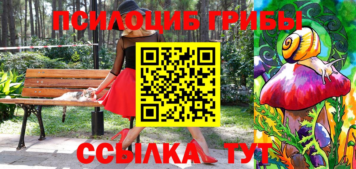 Галлюциногенные грибы ЛСД  Вход с VPN  Нижнекамск 